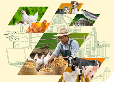 animal nutrition philippines|PHILSAN .